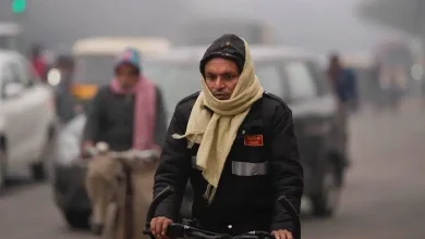 Gujarat will be in a state of cold till Uttarayan; Second round of cold begins from today