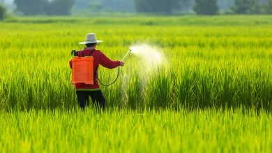 Nano revolution in Gujarat, more than 20 lakh farmers are using nano fertilizer