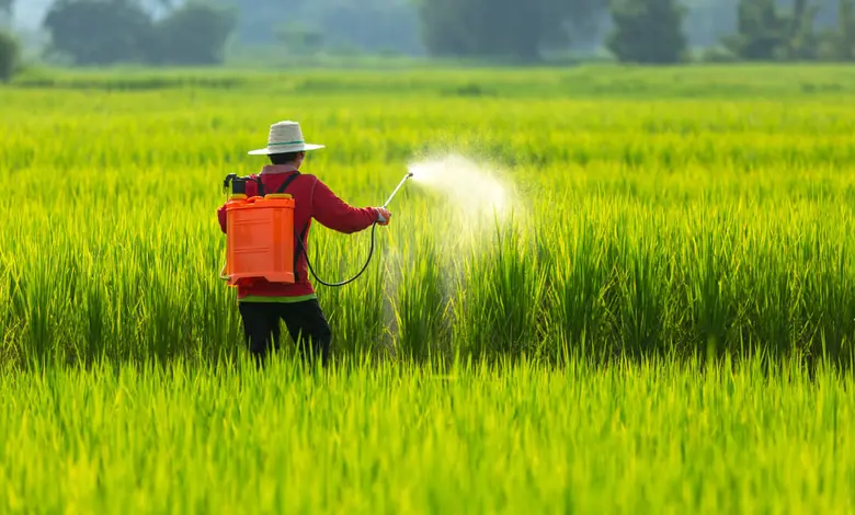 Nano revolution in Gujarat, more than 20 lakh farmers are using nano fertilizer