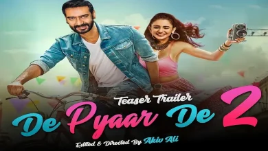 Release Date for De De Pyaar De Sequel Announced