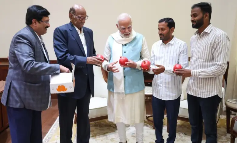 PM Modi Sharad Pawar meeting in parliament gifts pomegranate