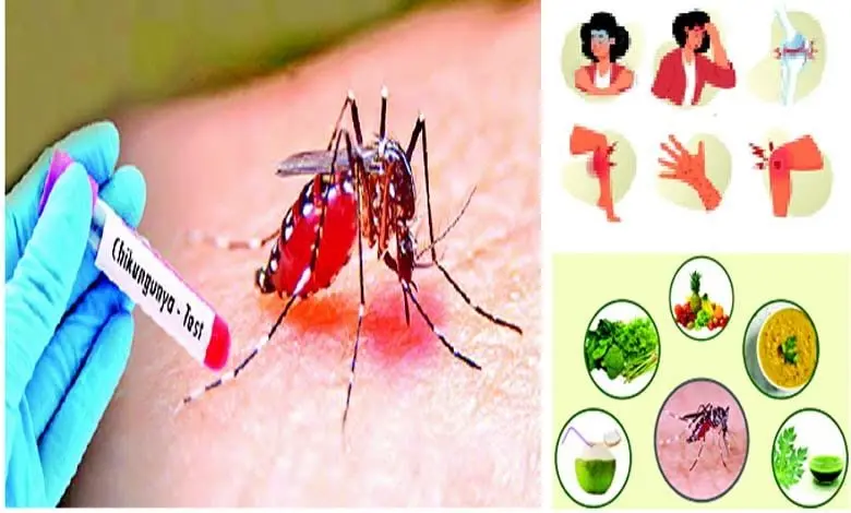 Special: Beware of Chikungunya…! It is important to know these details