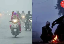 Gujarat Weather: Cold experience with north-easterly winds, Naliya cool with temperature of 6 degrees