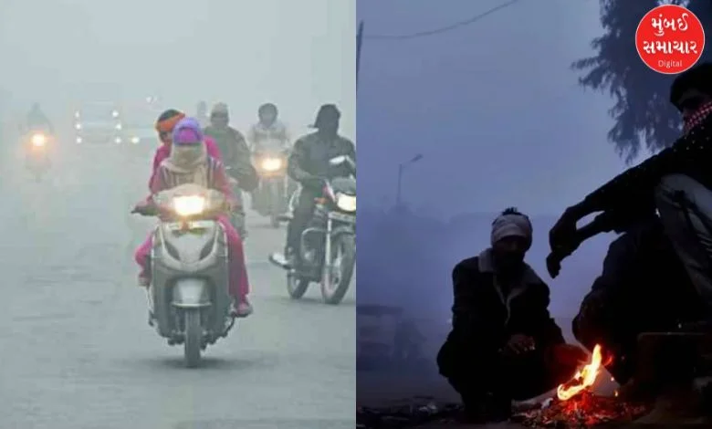 Gujarat Weather: Cold experience with north-easterly winds, Naliya cool with temperature of 6 degrees