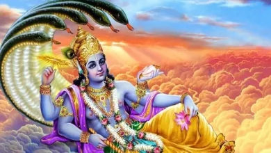 26th december last ekadashi of the year