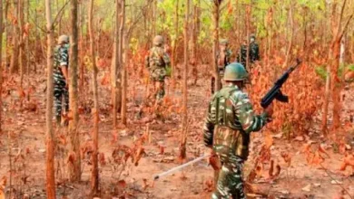 Weapons seized from Naxalites after encounter in Telangana forest