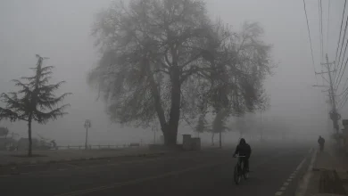 Forecast cold and unseasonal rain in Gujarat Today