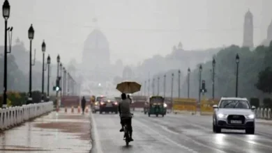 Weather Update Rain alert seven states Include Delhi amid growing cold Wave