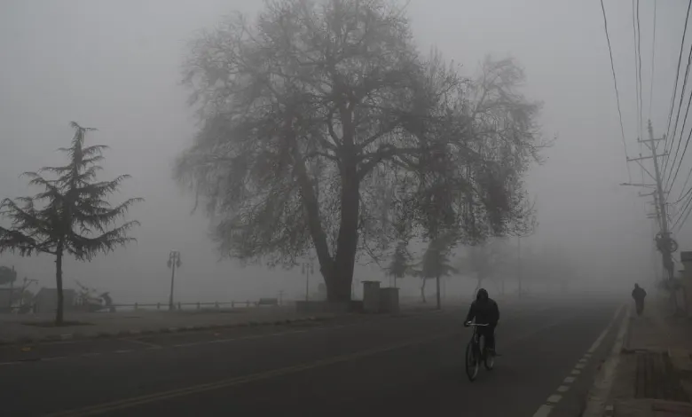 Forecast cold and unseasonal rain in Gujarat Today