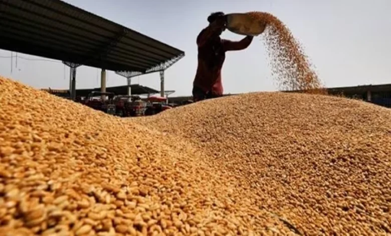 Wheat field with rising price graph