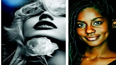 Why did White Beauty and Black Beauty split?