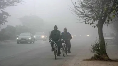 Gujarat Weather change unseasonal rain forecast amid cold Wave