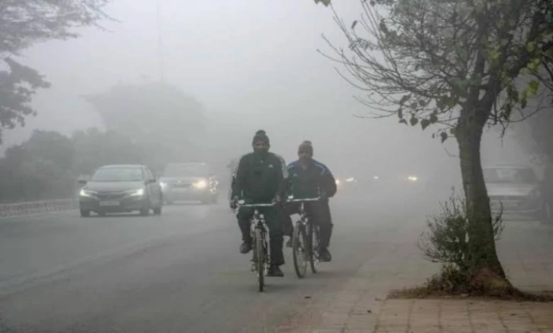 Gujarat Weather change unseasonal rain forecast amid cold Wave