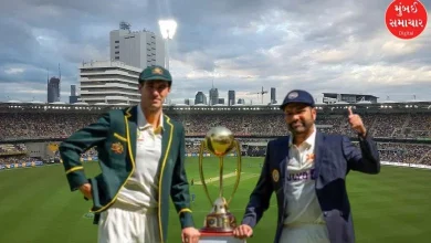 Brisbane ground set for India vs Australia third Test match