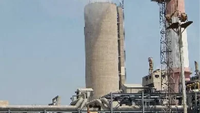 Dahej Gas Leak: Major accident at company's plant in Dahej, four workers die due to gas leak