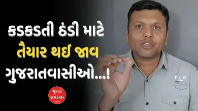 What did Paresh Goswami predict about the cold in Gujarat, watch the video