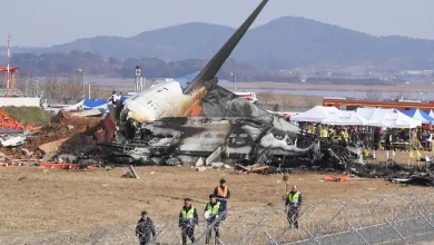 Reason behind plane crash in South Korea Muan aiport