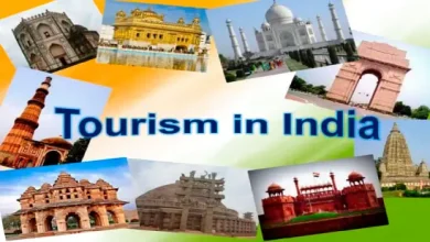 India tourism industry growth over 10 years"