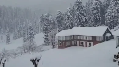 Cold wave continues in Jammu and Kashmir: Temperatures in Gulmarg, Pahalgam sub-zero