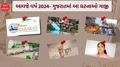 A collage showcasing key events in Gujarat in 2024