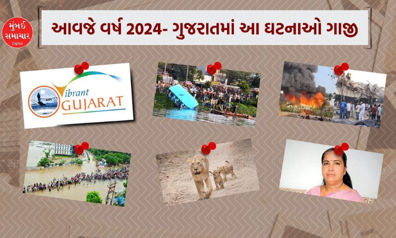 A collage showcasing key events in Gujarat in 2024