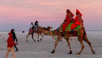 Tourists flock to Kutch for Rann Utsav celebrations