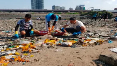 Workers cleaning debris during Mumbai cleanup drive