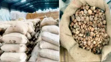 "Mundra Customs seize betel nuts imported from Dubai"