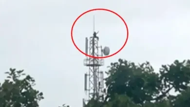 People climbing a mobile tower in Narmada