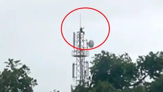 People climbing a mobile tower in Narmada