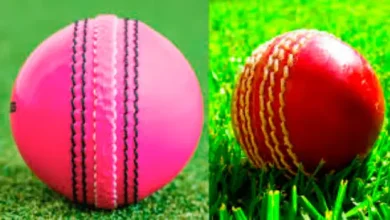 Key differences between pink and red cricket balls