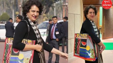 Priyanka Gandhi with Palestine bag praised by Pakistan