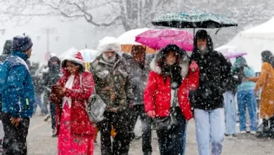 Heavy snowfall in Shimla and Manali strands tourists and causes fatalities