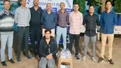 Vadodara police arrest criminal with hybrid marijuana