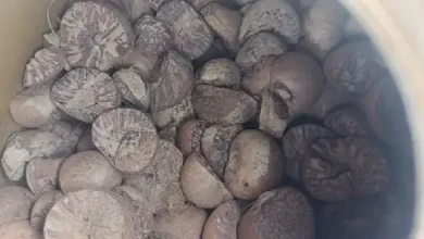 35-tonnes-of-betel-nut-seized-from-mundra-to-delhi