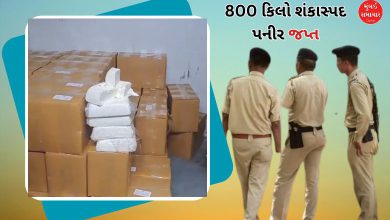 800 kg of fake cheese seized from Rajkot