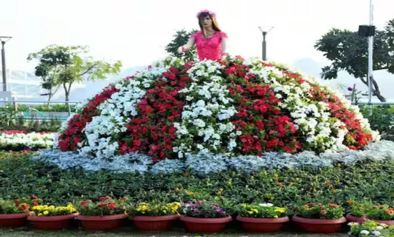 Ahmedabad Flower Show 2025