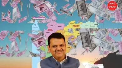 Fadnavis brings big investment to Gadchiroli