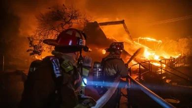 Firenado Crisis in Los Angeles Wildfires