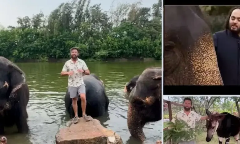 Renowned American Wildlife Expert Forrest Galante thanked Anant Ambani for this special work...