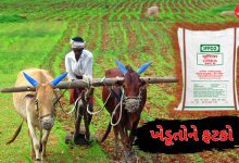 Gujarat IFFCO Fertilizer price hike anger farmers Union