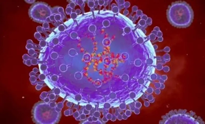 HMPV Virus