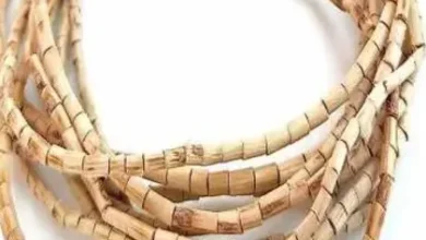 Mahakumbh Special Rudraksha-Tulsi beads are being ordered from Nepal, Uttarakhand