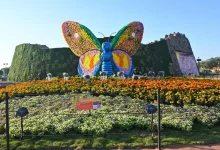 PM Modi Shares glimpses of the Ahmedabad International Flower Show