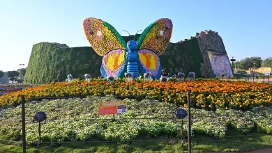 PM Modi Shares glimpses of the Ahmedabad International Flower Show