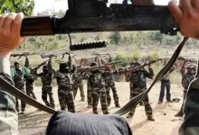 Seven Naxalites surrender in Chhattisgarh