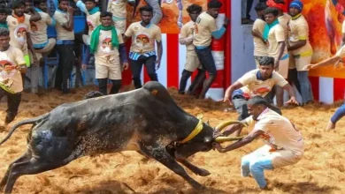 Seven dead, many injured in 'Jallikattu' and 'Manjuvirattu' events in Tamil Nadu