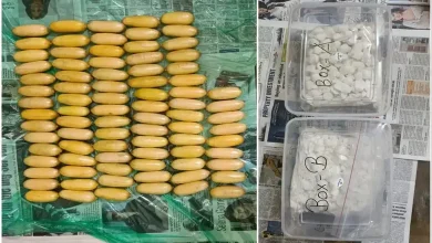 Tanzanian Smuggles Rs 7.51 Cr Drugs in Stomach, Gold Seized at Mumbai Airport