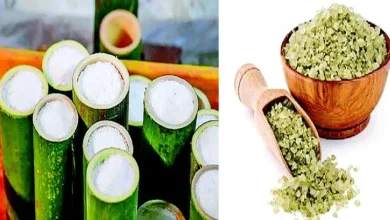 From food to health: 'Bamboo salt' full of medicinal properties