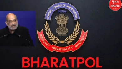 Now know what is 'Bharatpol' on the lines of Interpol?